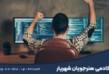 برنامه نویس حرفه ای کیست