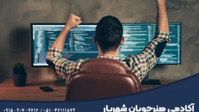 برنامه نویس حرفه ای کیست