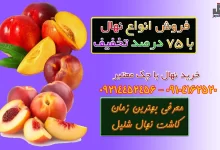 معرفی بهترین زمان کاشت نهال شلیل