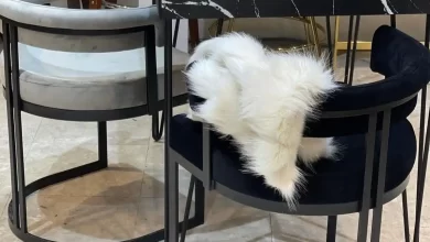 خرید صندلی اپن