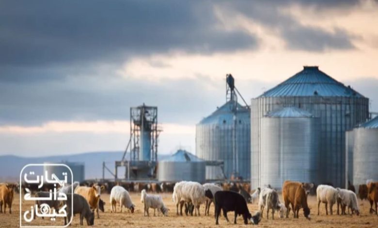 گله گاو و گوسفند در کنار سیلوهای فلزی ذخیره نهادههای دامی؛ نمادی از تأمین و توزیع خوراک دام توسط مجموعه تجارت دانه کیهان