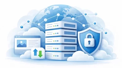 هاست چیست و چه کاربردی دارد؟