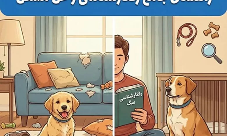 خرابکاری سگ ها