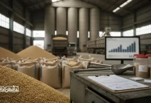 نمای داخلی کارخانه خوراک دام با سیلوهای بزرگ ذخیره، کیسه‌های حجیم نهاده، توده ذرت دامی در پیش‌زمینه، میز کنترل کیفیت شامل نمونه‌های دانه، بیلچه نمونه‌برداری و فرم‌های ثبت آنالیز، و نمایشگر نمودار پایش تولید در پس‌زمینه